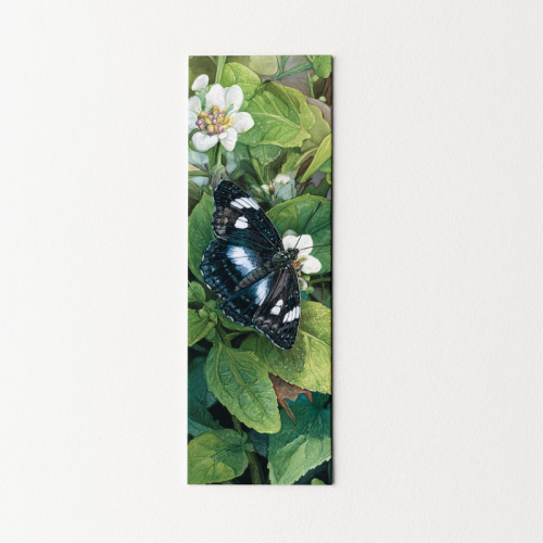 5906040418483 Zakładka do książki 6x18 cm motyl i kwiaty MaDam Creative.png