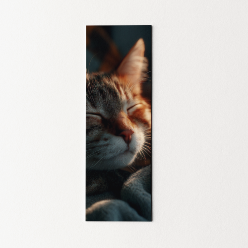 5906040418599 Zakładka do książki 6x18 cm śpiący kot MaDam Creative.png
