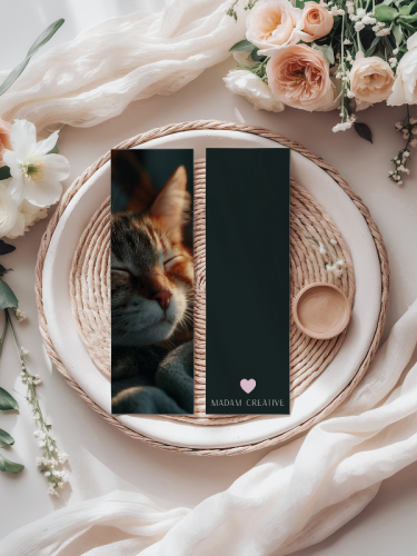 5906040418599 Zakładka do książki 6x18 cm śpiący kot MaDam Creative (2).png