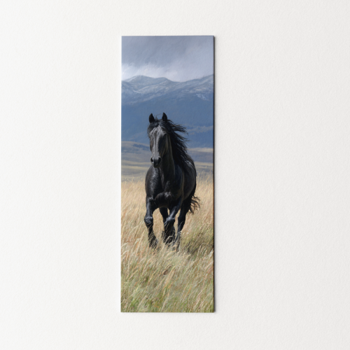 5906040418551 Zakładka do książki 6x18 cm czarny koń w galopie MaDam Creative.png