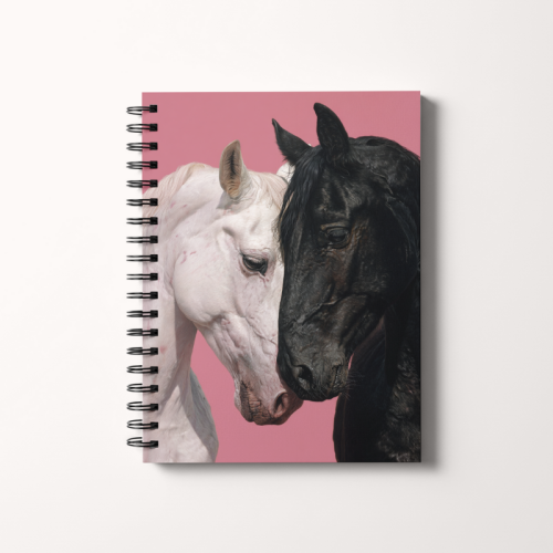 Notes A5 kratka 80 kartek Dwa konie kontrast światła MaDam Creative