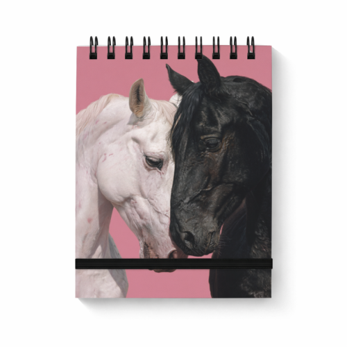 Notes na spirali z gumką A6 80 kartek gładki Dwa konie kontrast światła MaDam Creative