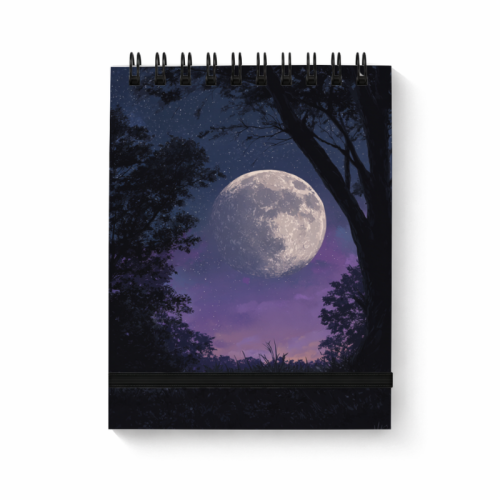 Fioletowa noc z pełnią księżyca MaDam Creative.png