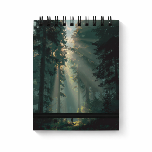 Leśna ścieżka w promieniach światła MaDam Creative.png