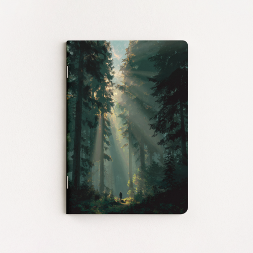 Leśna ścieżka w promieniach światła MaDam Creative.png