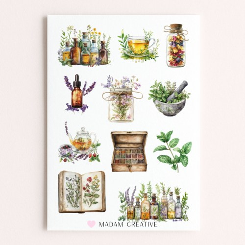 Naklejki Foliowe 13x19 Zioła – Zielnik i Roślinne Inspiracje MaDam Creative