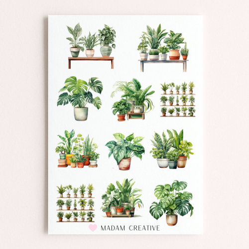 Naklejki Foliowe 13x19 Rośliny Doniczkowe – Zielony Ogród MaDam Creative