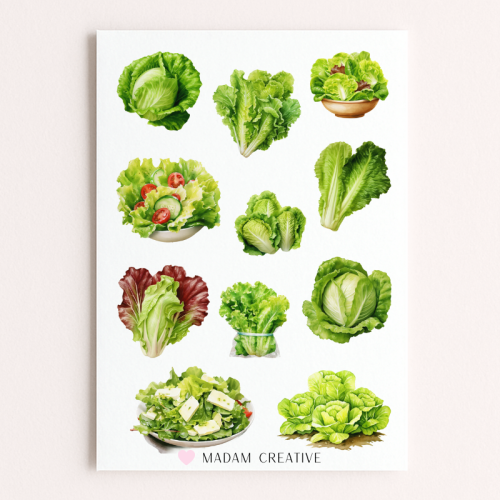 Naklejki Foliowe 13x19 Sałata MaDam Creative
