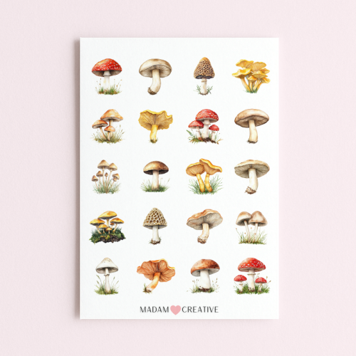 5906040457765_Naklejki Foliowe 13x19 Grzyby leśne MaDam Creative.png