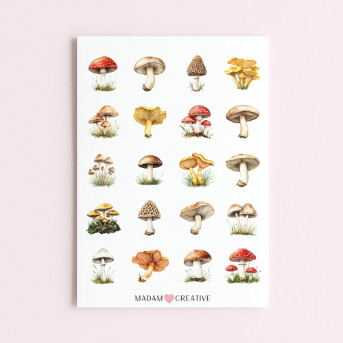 5906040457765_Naklejki Foliowe 13x19 Grzyby leśne MaDam Creative.png