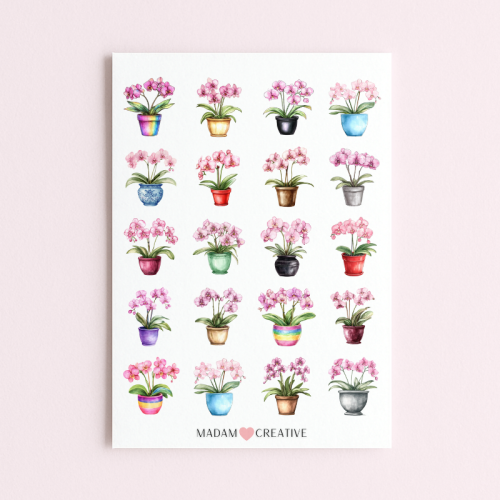 5906040457642_Naklejki Foliowe 13x19 Różowe orchidee w doniczce MaDam Creative.png