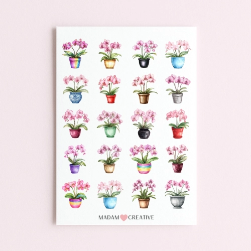 5906040457642_Naklejki Foliowe 13x19 Różowe orchidee w doniczce MaDam Creative.png