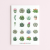 5906040457529_Naklejki Foliowe 13x19 Sukulenty MaDam Creative.png