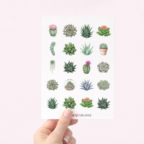 5906040457529_Naklejki Foliowe 13x19 Sukulenty MaDam Creative (2).png