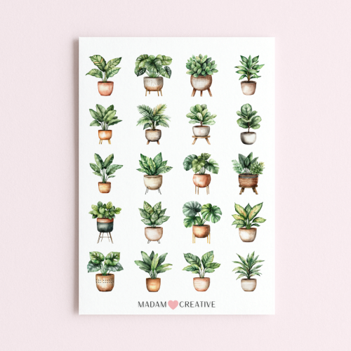 5906040455945_Naklejki Foliowe 13x19 Rośliny domowe MaDam Creative.png