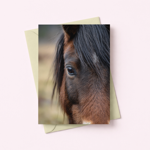 5906040461137_Kartka koń portret natura elegancka Dla Ciebie MaDam Creative.png