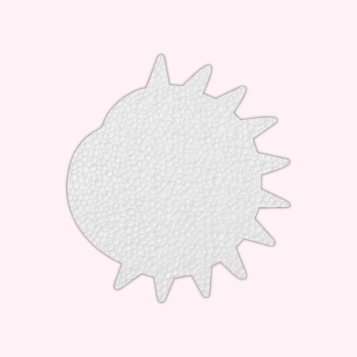 Baza Styropianowa Kasztan w Kolczastej Łupinie DIY 25 cm MaDam Creative.png