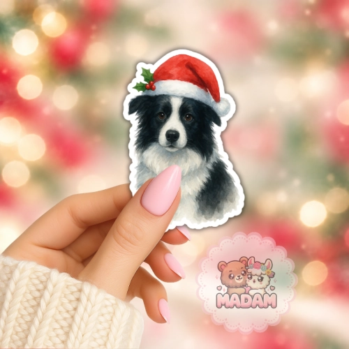 5906040472942_Naklejka foliowa Border collie w czapce Mikołaja MaDam Creative (2).png