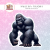259157