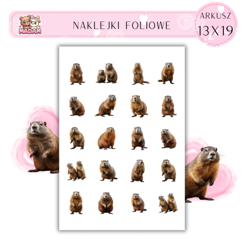 2002000037916.png