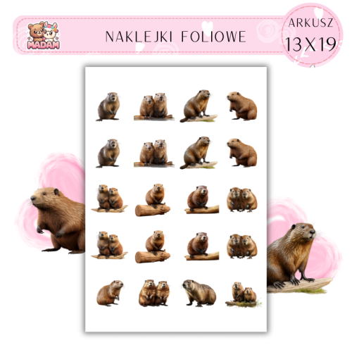 2002000009128.png